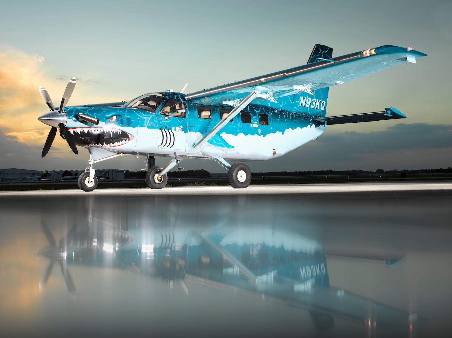 2013 Daher Kodiak 100 sn100-0093 | N93KQ